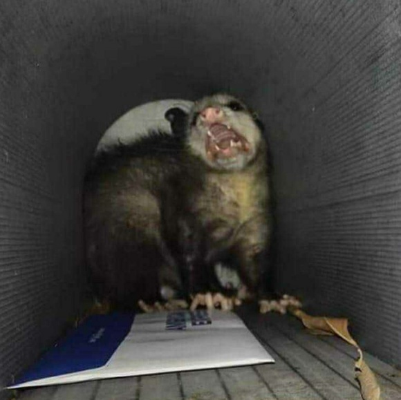 Profile Picture of Julian Wise (@jbwise) on Poshmark