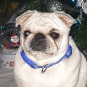 Heather Mallaby - Youtube Profile Picture of Heather Mallaby (@heathermallaby3645) on Youtube