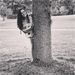 Profile Picture of Jessi cramer (@monicajuly1978) on Pinterest