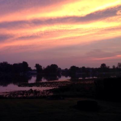 Donna Gillespie - Twitter Profile Picture of Donna Gillespie (@dmdudd30) on Twitter