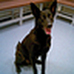 Profile Picture of Leung Jade (@jay24k1982) on Flickr