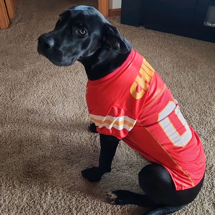 Profile Picture of Brian Meier (@brianmeier) on Tiktok