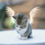 Profile Picture of Aku Adalah Anak Gembala (@aku adalah anak gembala) on Flickr