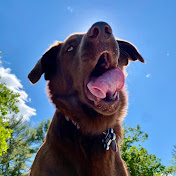 Profile Picture of Ian Farris (@calfzilla1) on Youtube