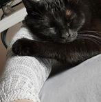 Profile Picture of Erich Kovac (@Erich-Kovac) on Facebook