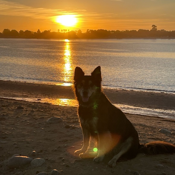 Profile Picture of Kyle Schaake (@kschaake22) on Poshmark