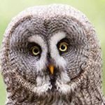 Profile Picture of Benjamin Mook (@benthebigger) on Instagram