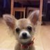 Profile Picture of Satoshi Haneda (@satoshi.haneda.12) on Facebook