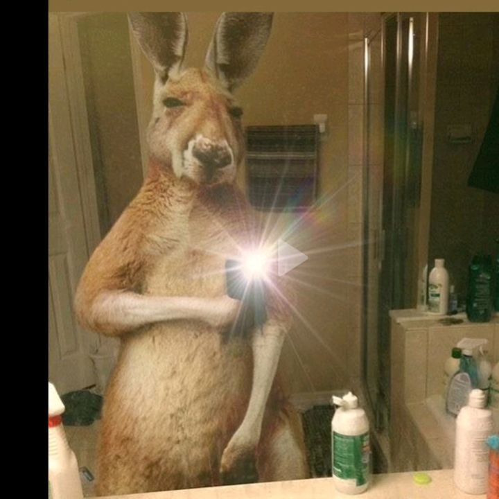 Profile Picture of Christopher Merino (@christopher.merin1) on Tiktok
