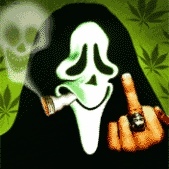 Jason Sawaya - Myspace Profile Picture of Jason Sawaya (@jaysaw714) on Myspace