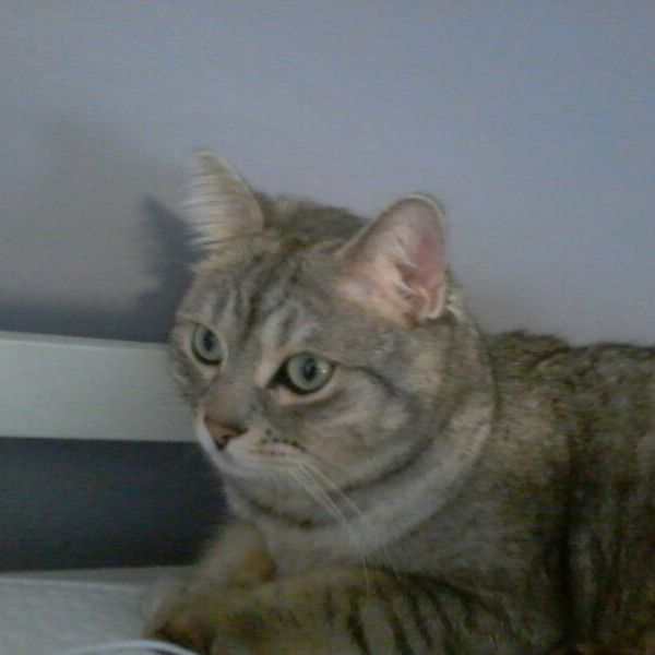 Profile Picture of Alex lamothe (@@man_lam) on Tiktok