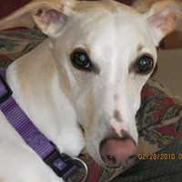 Profile Picture of Eric Lathrop (@eric-lathrop) on Quora