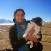 Profile Picture of Nadia Qureshi (@nadiaqu1) on Youtube