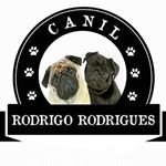 Profile Picture of CANIL RODRIGO RODRIGUES (@tiago_rodrigo_rodrigues) on Instagram