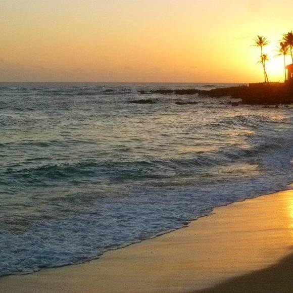 Nick Tillman - Poshmark Profile Picture of Nick Tillman (@kauaiboy967) on Poshmark