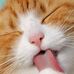 Profile Picture of Siles (@siles.siles.9843) on Facebook
