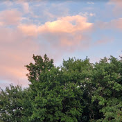 Profile Picture of Jeremy Fu (@jeremyfu9670) on Youtube