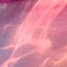 Profile Picture of Ayesha Farooq (@ayeshaafarooq) on Pinterest