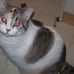 Profile Picture of Judy Coffman (@judy.coffman.5) on Facebook