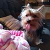 Profile Picture of Kim Elmore (@@kimberlyelmore59) on Tiktok