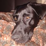 Profile Picture of Markus Biersack (@markus.biersack.77) on Instagram