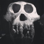 Profile Picture of Matthew Heaton (@mdheaton) on Instagram