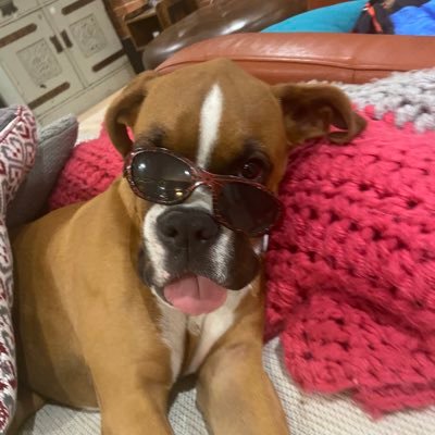 Profile Picture of Ruby Fidler (@fidler_ruby) on Twitter