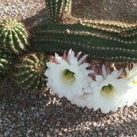 Profile Picture of J Outson (@j-outson) on Quora