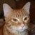 Profile Picture of Paula Allison (@paulaallison7) on Pinterest