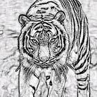 Profile Picture of   Surendra Chauhan... (@surendrachauhan5527) on Tiktok