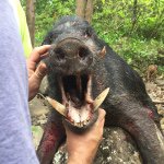 Profile Picture of Eric Grabowski (@edoggy808) on Instagram