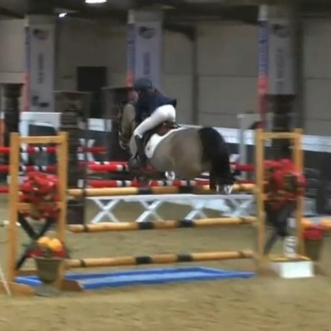 Profile Picture of agnes_kerr_showjumping (@agnes_kerr_showjumping) on Tiktok