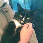 Profile Picture of Bill Chandler (@billchandler7880) on Instagram