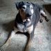 Profile Picture of Joe Bechtel (@joe.bechtel.790) on Facebook
