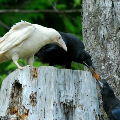 Profile Picture of Stacy Gendke (@StacyDunaway) on Twitter