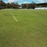 Profile Picture of Andrew Leak (@gordonrafos2) on Instagram