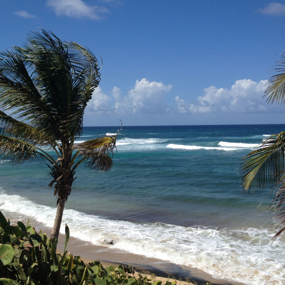 Profile Picture of Wilma Gonzalez (@wilmagfl01) on Poshmark