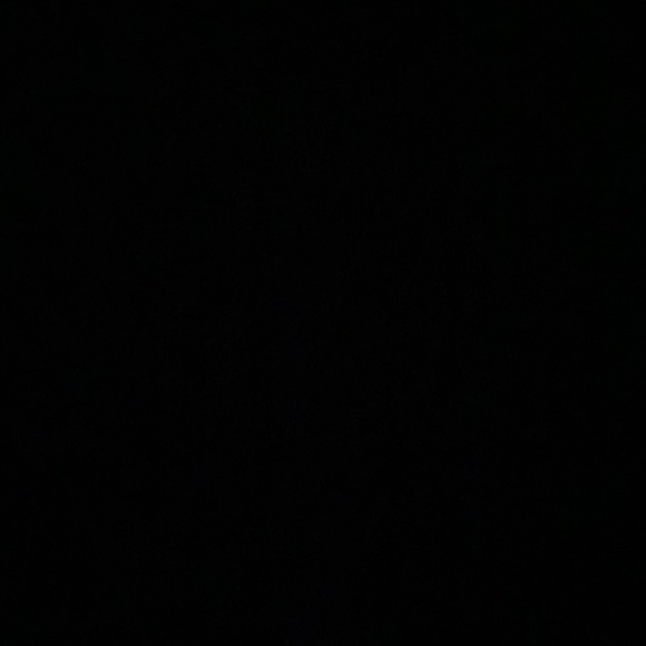 Profile Picture of Shelly Gless (@shelly_gless) on Poshmark