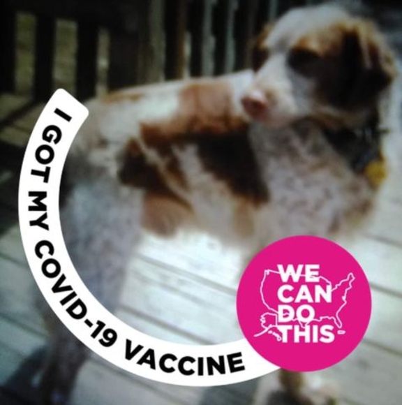 Profile Picture of Paulette Vanier (@paulettevanier7) on Poshmark