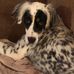 Profile Picture of Jim Sr Perrin (@jim.perrin.79) on Facebook