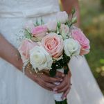 Profile Picture of Anushka Dobies-Smit (@anushka.dobies) on Instagram