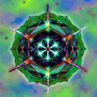 Profile Picture of Jamey Parnell Robins (@JameyParnellRob) on Twitter