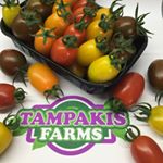 Profile Picture of Tampakis Farms (@tampakisfarms) on Instagram