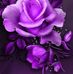 Profile Picture of Yolanda Phillips (@yolanda.phillips.5283) on Facebook