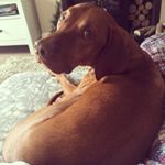 Profile Picture of JoRees (@hannajorees) on Instagram