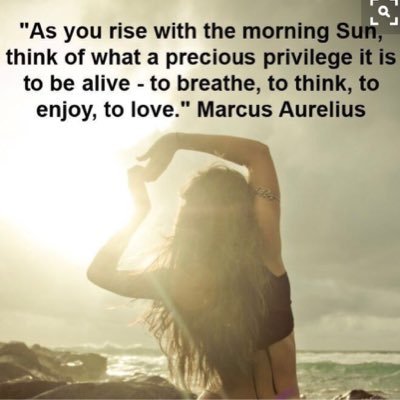 Profile Picture of Kim Hammer (@kimhammer27) on Twitter