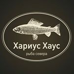 Profile Picture of Хариус Хаус - Рыба Севера (@hariushouse) on Instagram