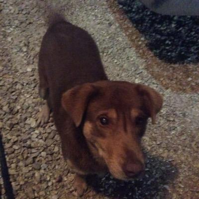 Profile Picture of Marc Gustafson (@Marc_Gustafson) on Twitter