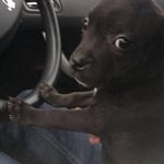 Profile Picture of Gavy mac (@gavin.mcclelland.35) on Instagram