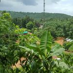 Profile Picture of sajan chacko (@sajan.chacko) on Instagram